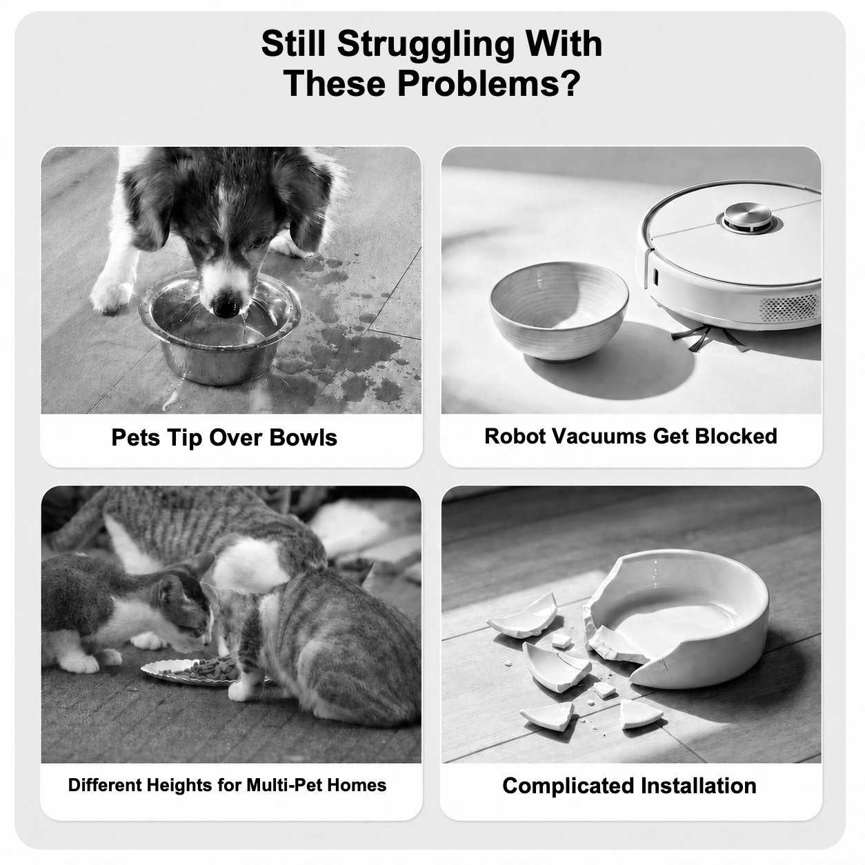2-in-1 Wall-Mounted & Freestanding Cat Bowl Stand – Foldable Pet Feeder with Removable Bowl, Suction Mount & 19 cm Anti-Tip Base