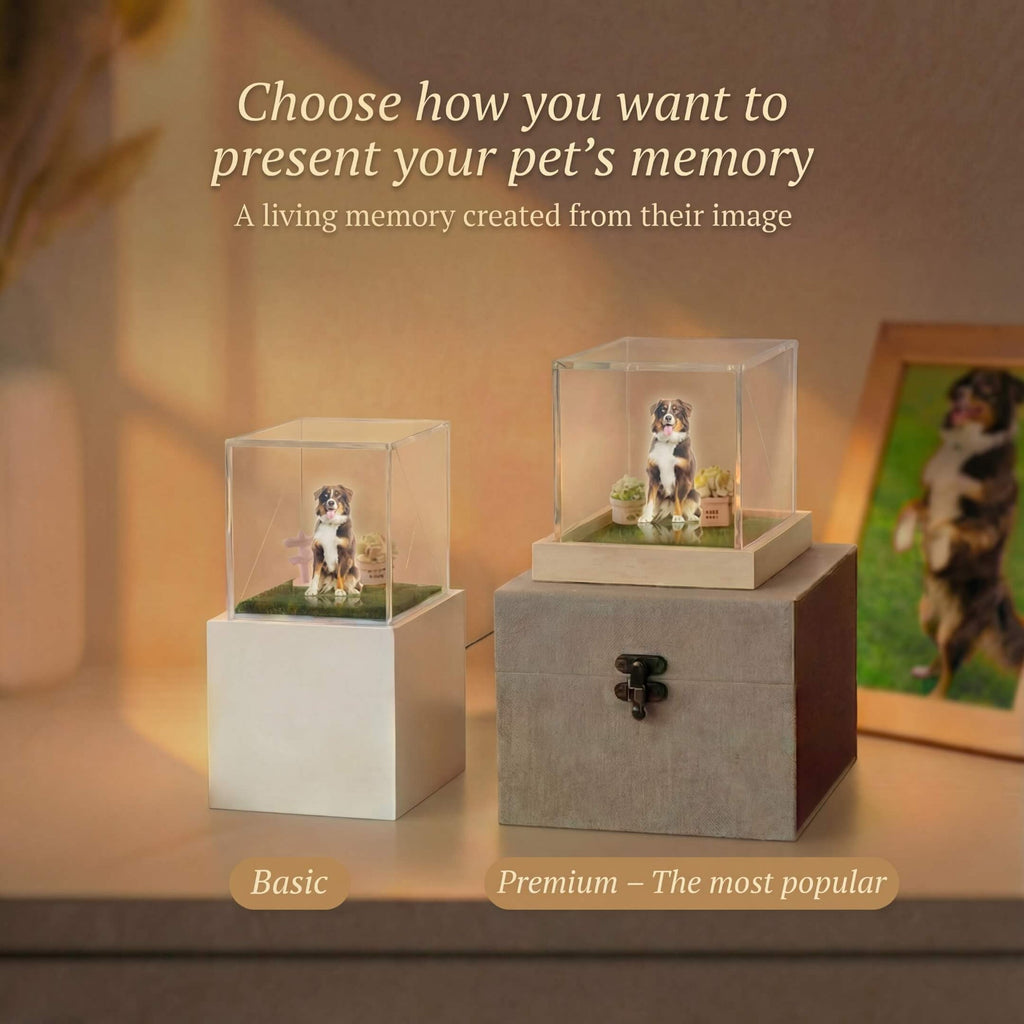 Personalized Holographic Memory. Keep their memory close always.