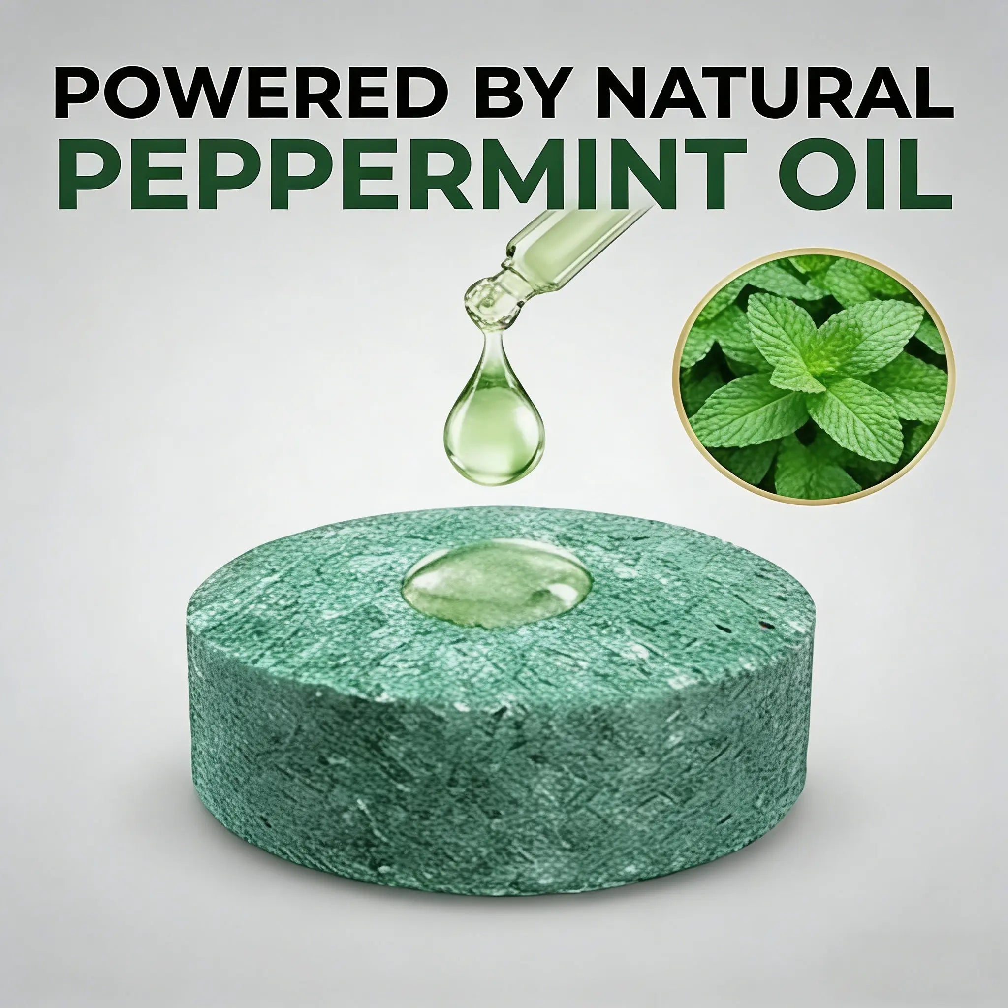 12-Pack Peppermint Oil Mouse Repellent | Natural Pest Deterrent for Rats & Ants