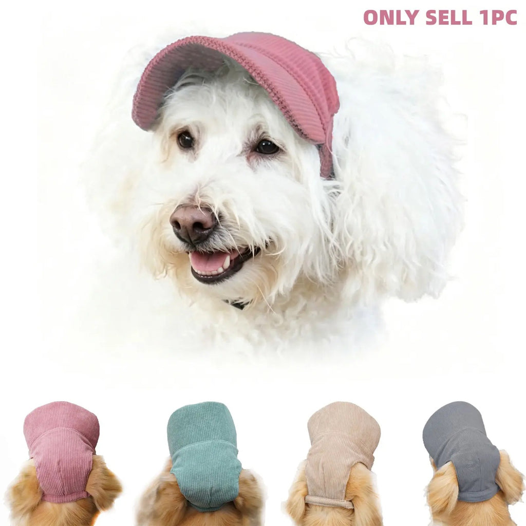 Casquette de baseball respirante pour animal avec protection solaire