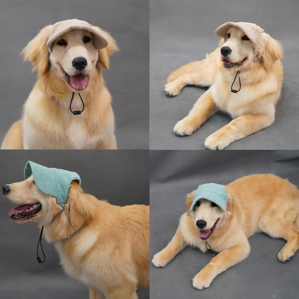 Casquette de baseball respirante pour animal avec protection solaire