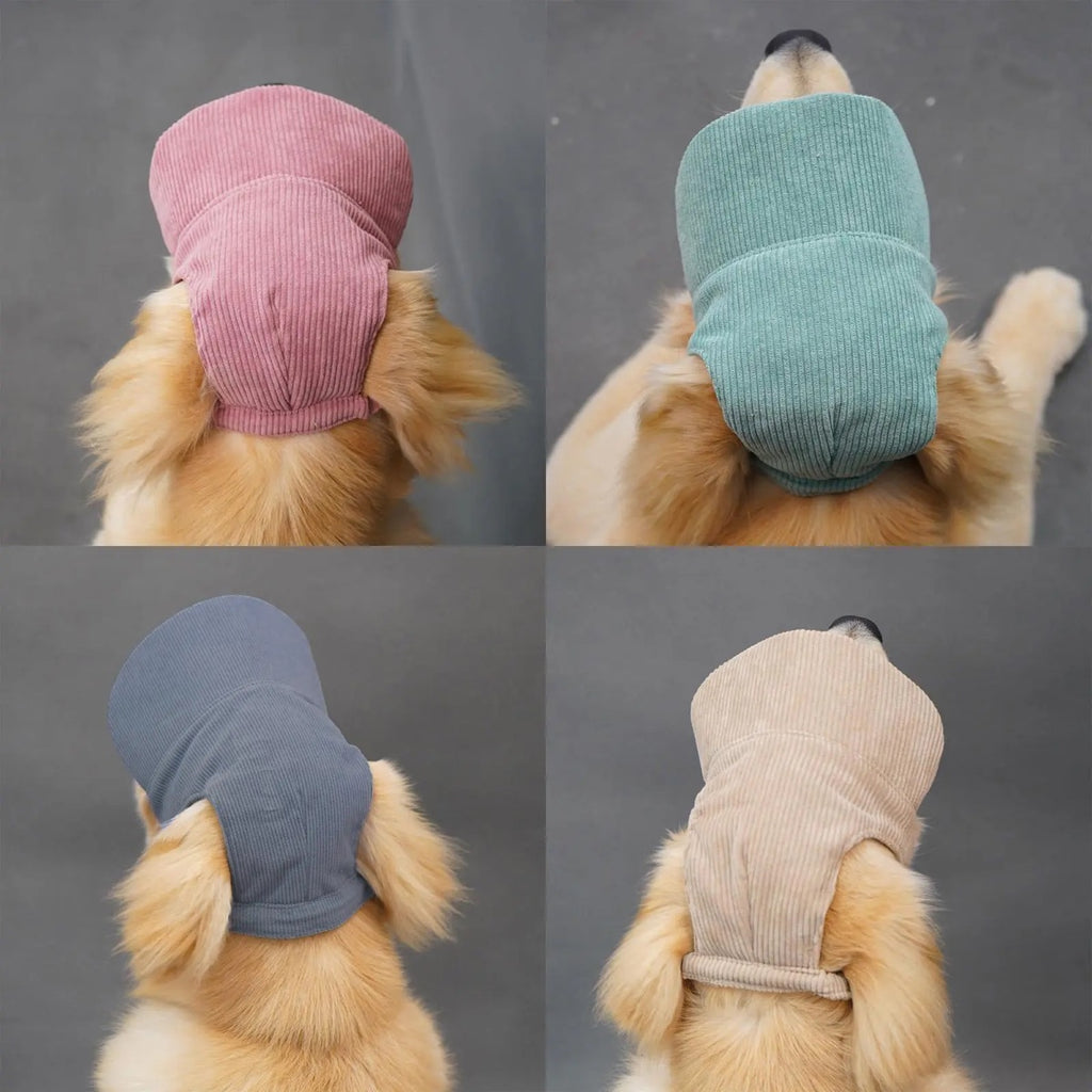 Casquette de baseball respirante pour animal avec protection solaire