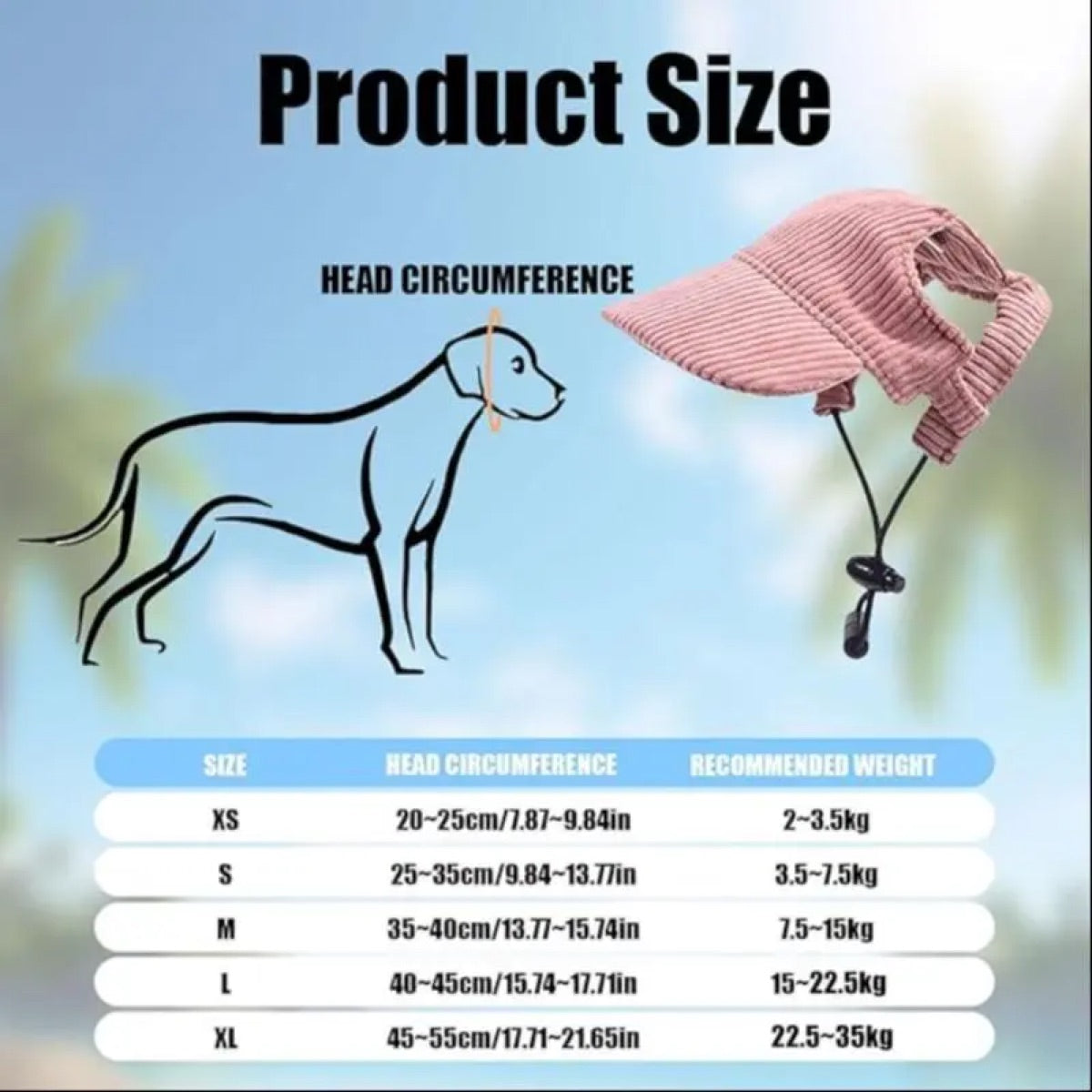 Casquette de baseball respirante pour animal avec protection solaire