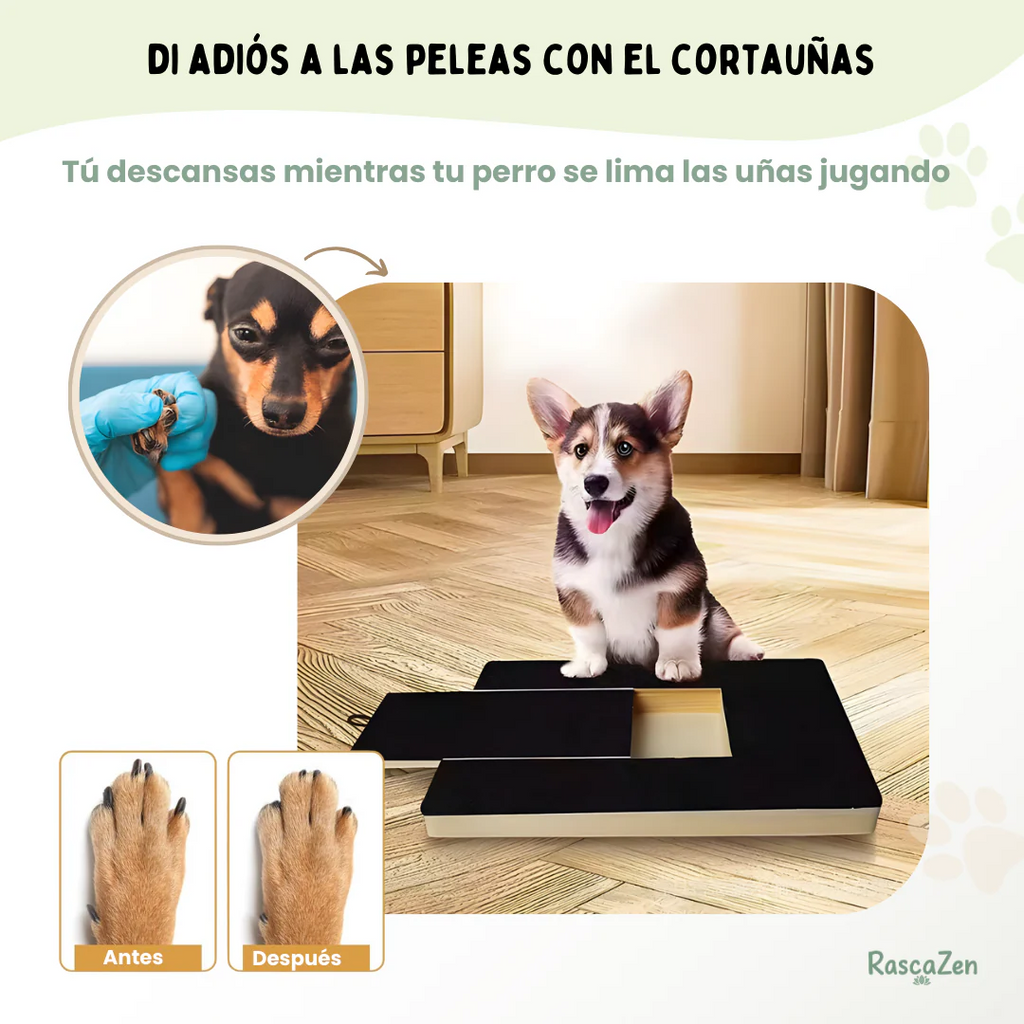 Auraivo Pet Nail File Board - Durable Wooden Scratching Pad with Built-in Snack Box for Large & Small Dogs
