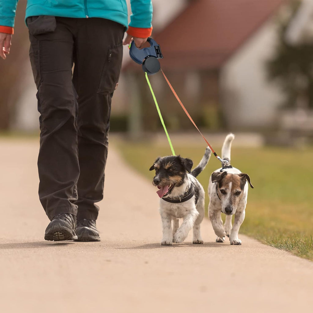 Dual Retractable Dog Leash for Two Dogs, 2 × 10 ft / 3 m Leads, 360° Anti-Tangle, One-Hand Brake with LED Flashlight