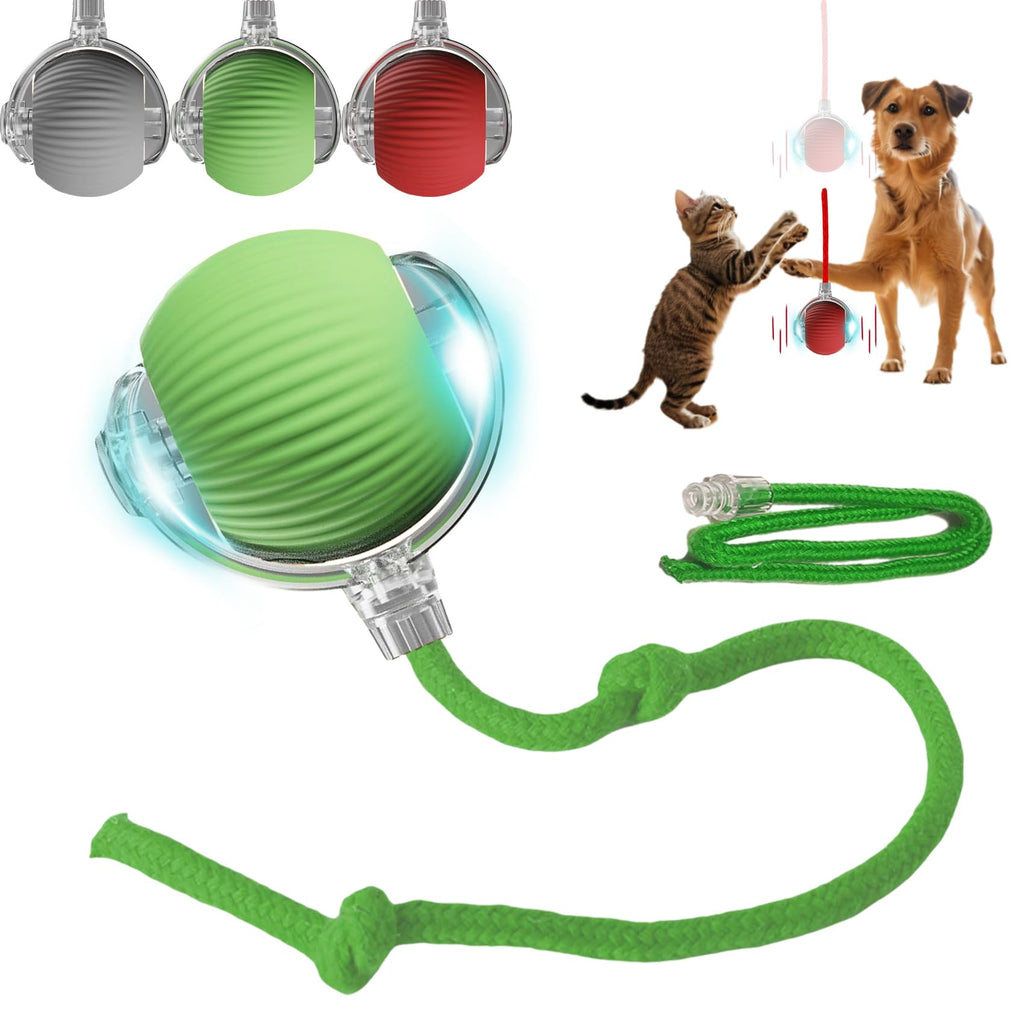 Interactive Dog Cat Toy Ball, Automatic Moving Bouncing Rolling, with Replacement Tail, Pet Smart Chase Ball Rechargeable, Enrichment Toys for Bored Indoor Adult Cats/Dogs