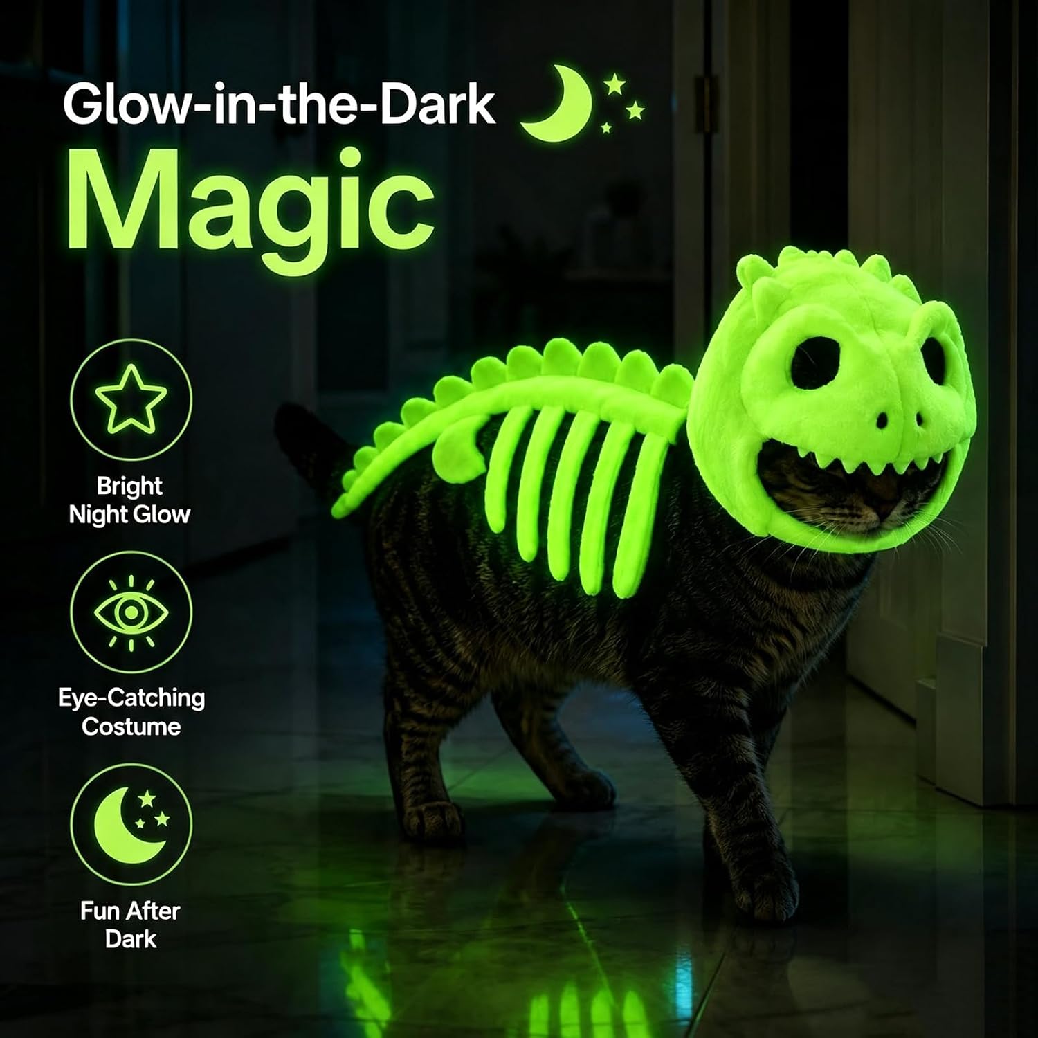 Dinosaur Skeleton Glow in Dark Cat Costume, Plush Halloween Pet Hood Outfit (S)