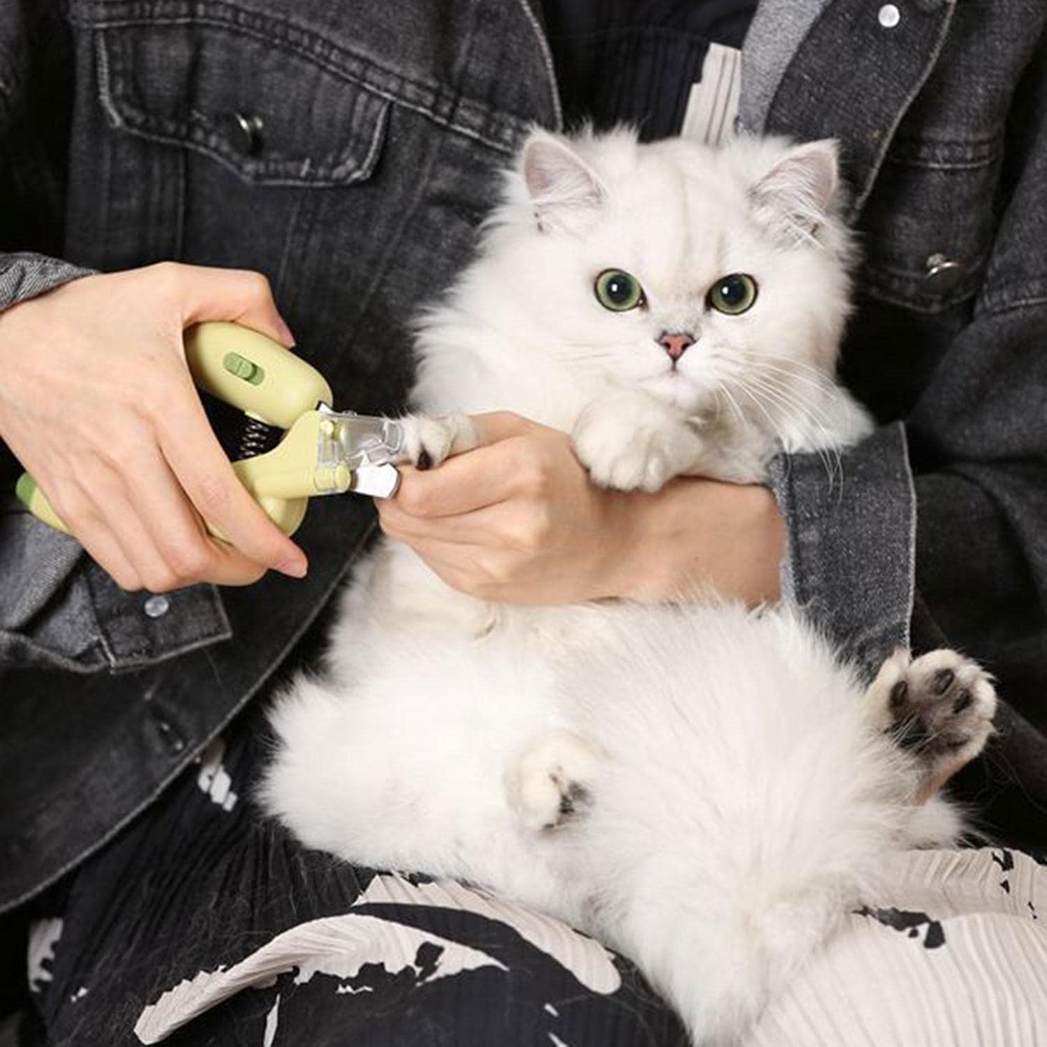 Dog nail clipper with UV LED light for safe trimming and protection against over-cutting. Cute pet claw trimmer and grooming tool for small animals such as dogs, cats, puppies, and kittens.