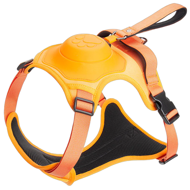 COMFYWALK Harness & Leash