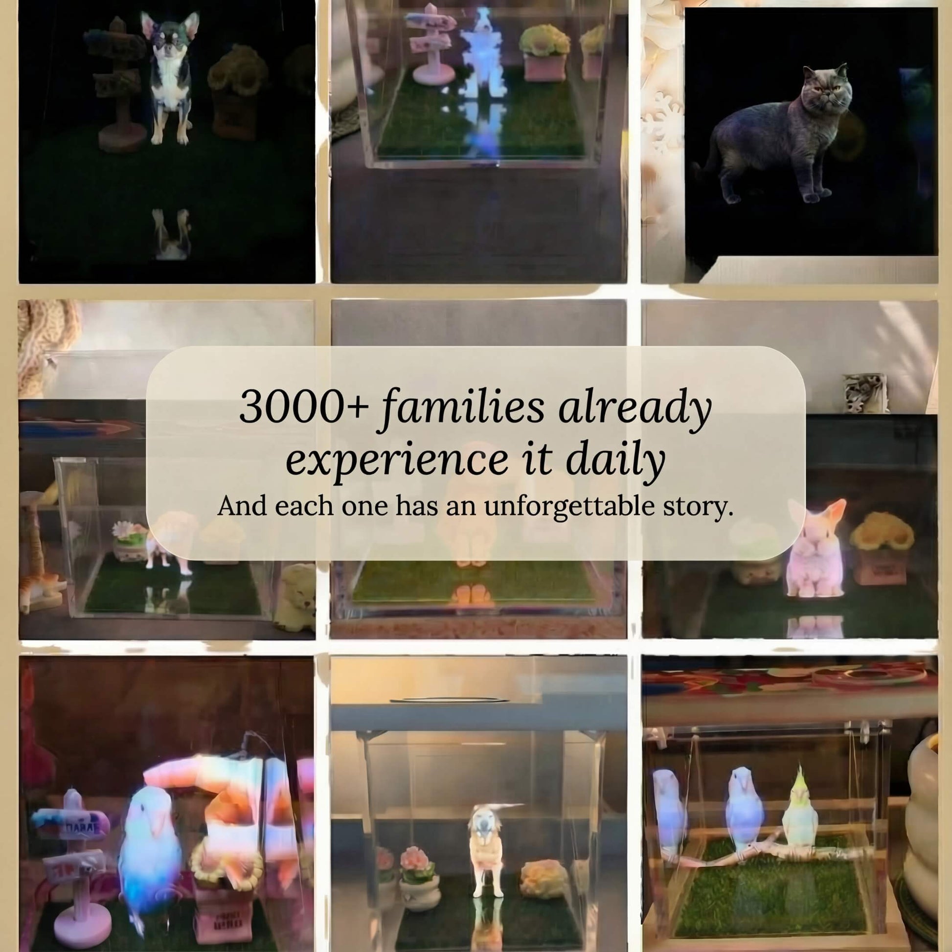 Personalized Holographic Memory. Keep their memory close always.