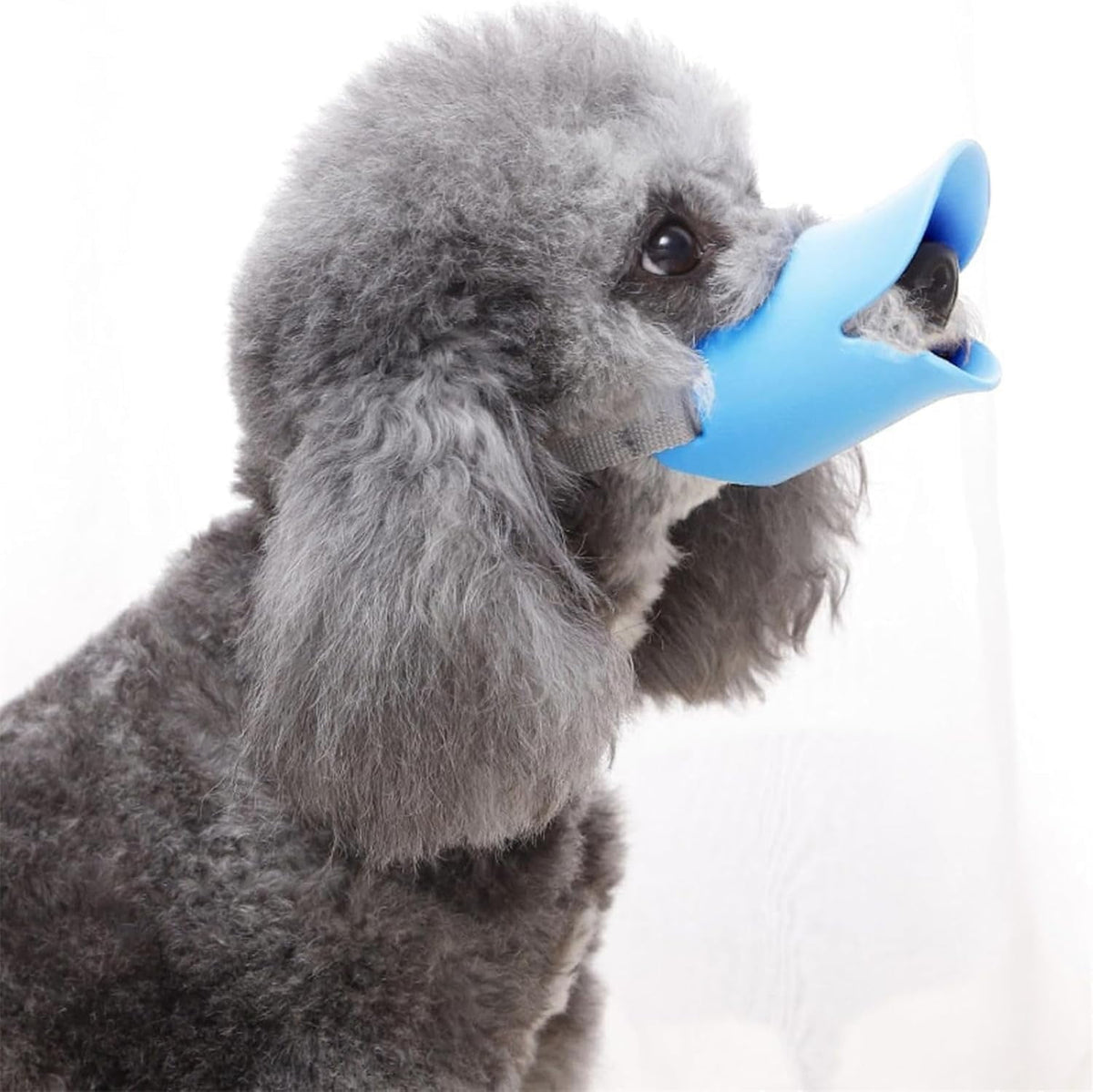 Duck Muzzle for Dogs, Soft Flexible TPR Duckbill Dog Muzzle with Adjustable Strap for Small & Medium Dogs
