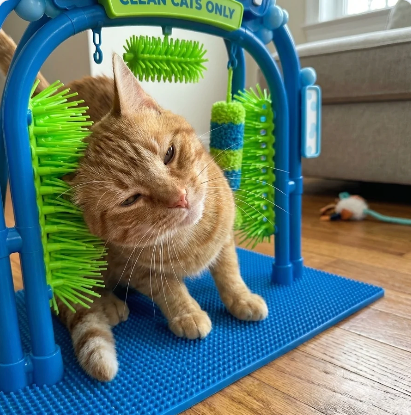 Cat Self Groomer Brush Arch, Cat Rubbing Scratching & Massage Station with Non-Slip Base, Hanging Toy, Easy-Clean Grooming Brush