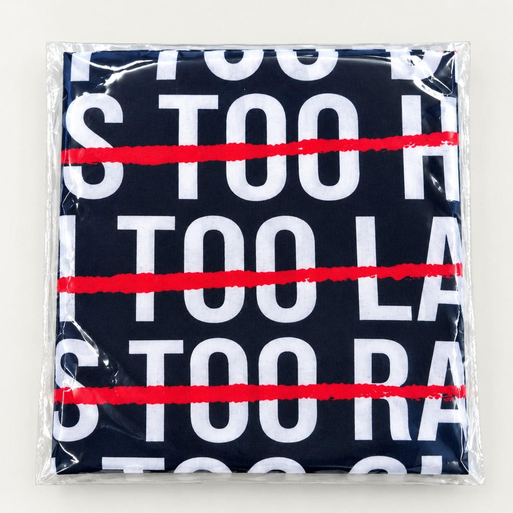 【Black Friday】Nobody Cares Let's Go Gym Motivation, Bold Black, White & Red Typography Design, 2D Single-Sided Polyester Flag with 4 Metal Grommets, Wall Decor Flag for Home Gym, Fitness Room & Dorm Wall