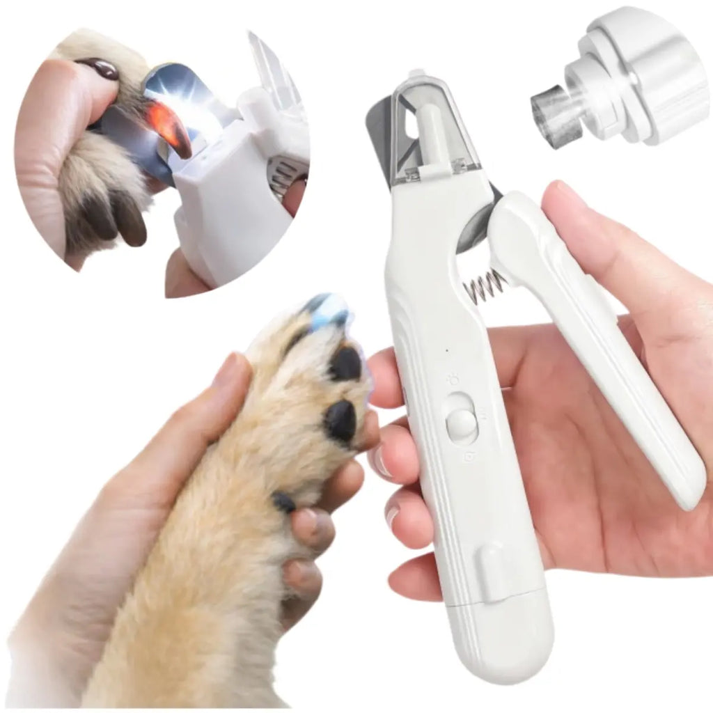 Dog & Cat 2-in-1 Pet Nail Clipper & Grinder with LED Light, Quiet Low-Noise Motor, USB-C Rechargeable, Stainless Steel Clipper & Splash Guard for Small Medium Large Pets