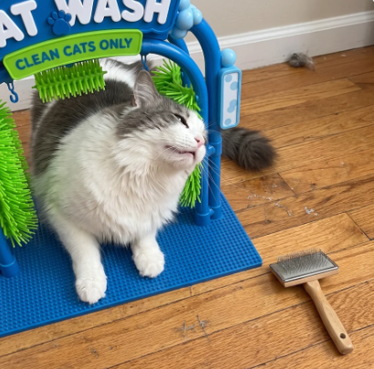 Cat Self Groomer Brush Arch, Cat Rubbing Scratching & Massage Station with Non-Slip Base, Hanging Toy, Easy-Clean Grooming Brush