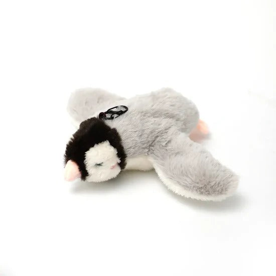 Auraivo Cat Toys