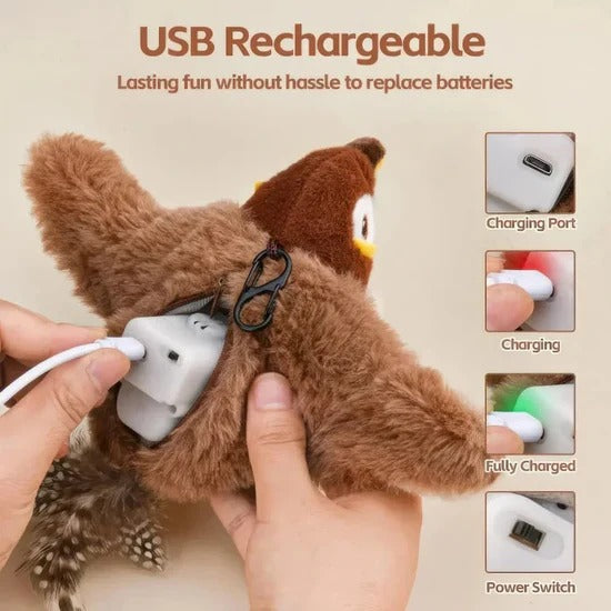Auraivo Cat Toys
