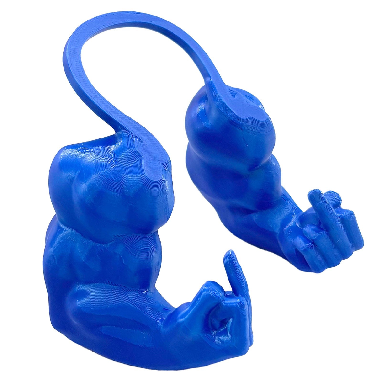 Cat Muscle Arm with Middle Finger 3D Printed Hulks Muscle Cat Arm for Neck